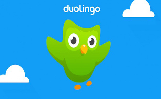 Language learning platform Duolingo launches in the Arab world