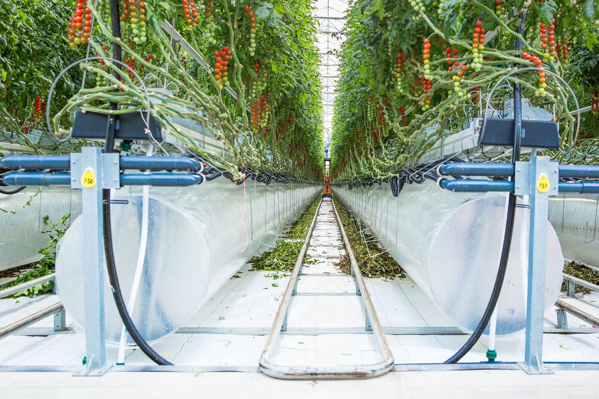 Smart farming for food security