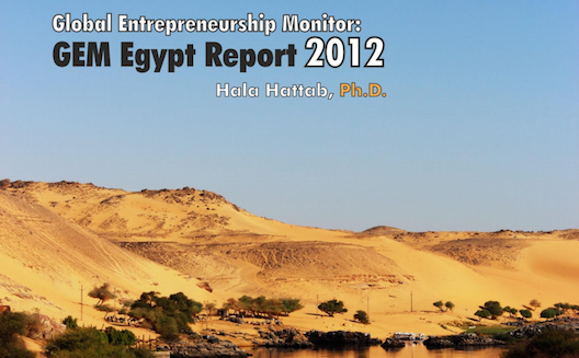 Egyptian entrepreneurs ready for more constructive dialogue