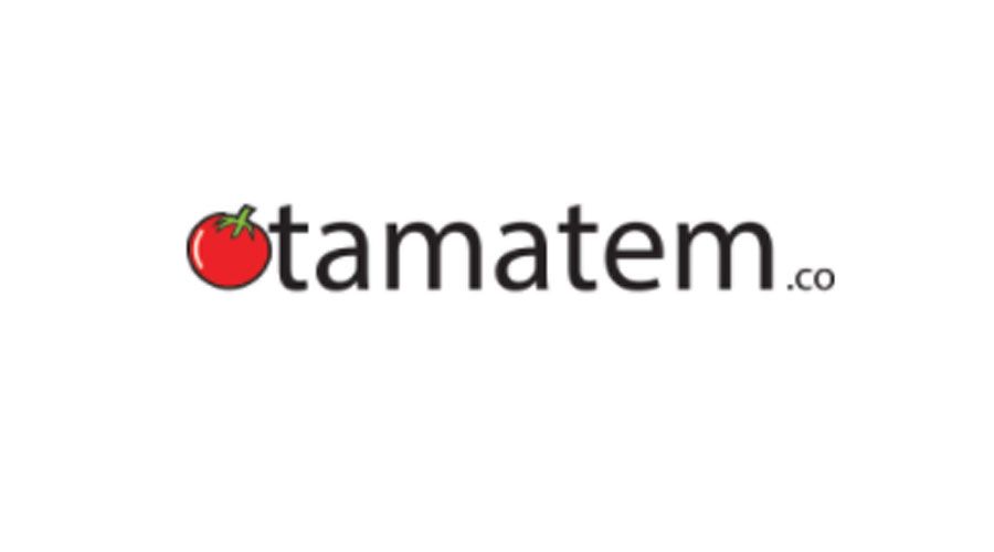 Tamatem raises $ 2.5M to localize mobile games for the MENA market