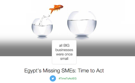 Egypt is in urgent need of smaller business