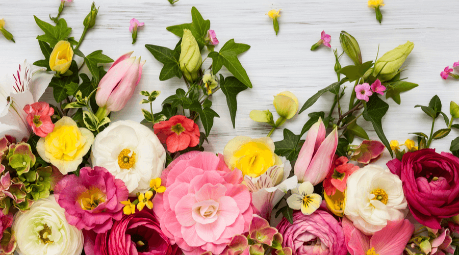 Floral marketplaces: Does the future look rosy?