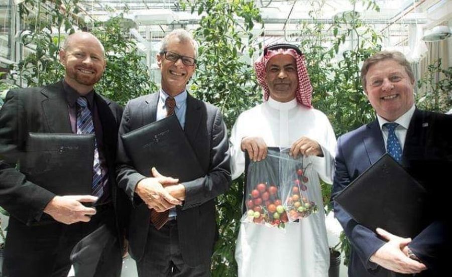 KAUST’s Red Sea Farms closes $1.9m investment