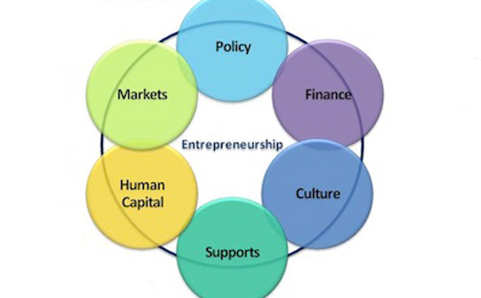 What Makes An Entrepreneurship Ecosystem?