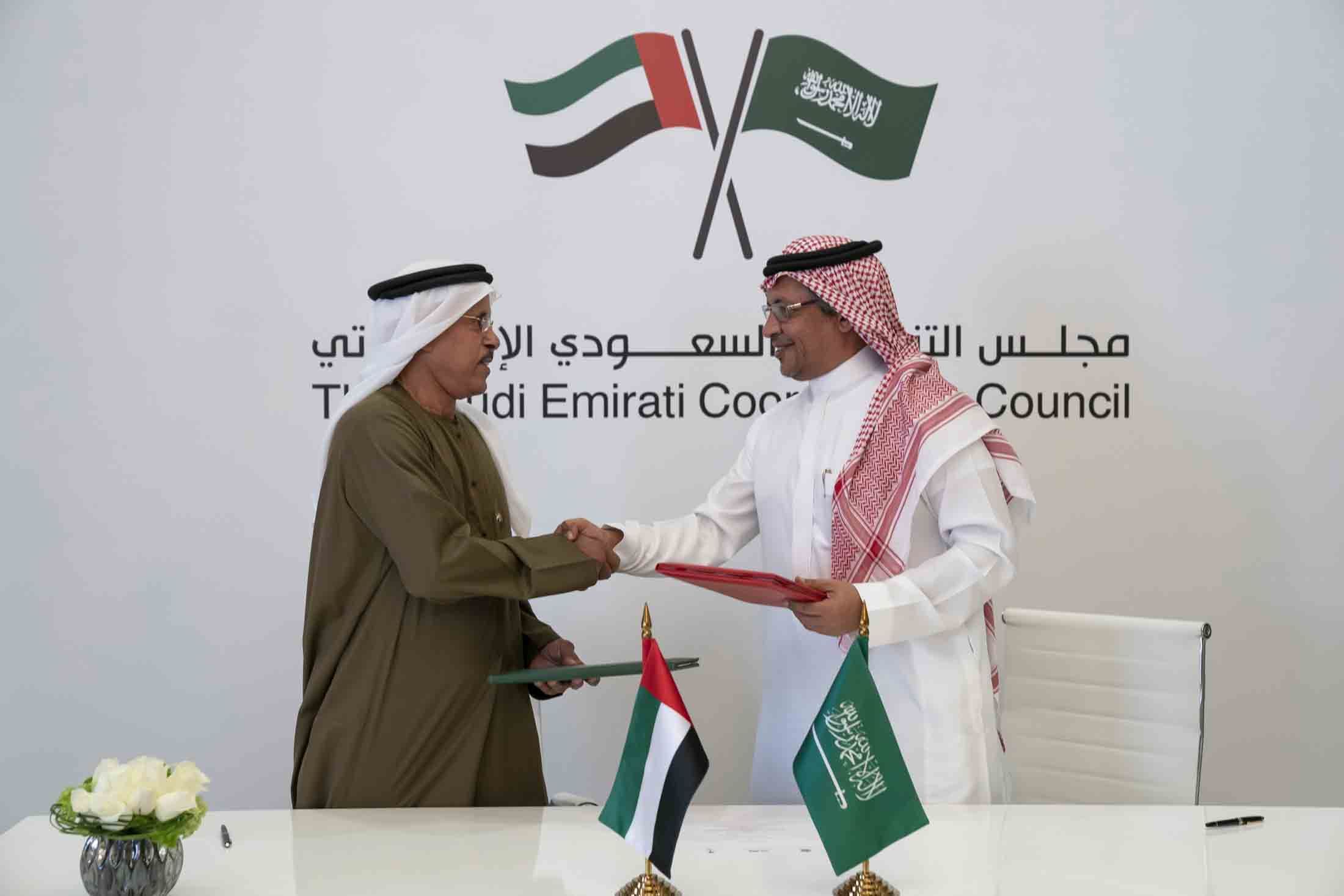 The benefits of the Saudi-UAE joint initiatives