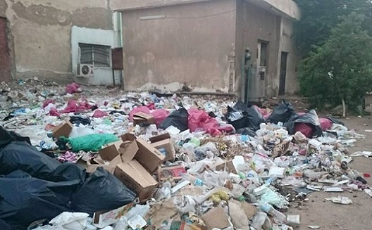 Startups urged to use Egypt's wealth of waste